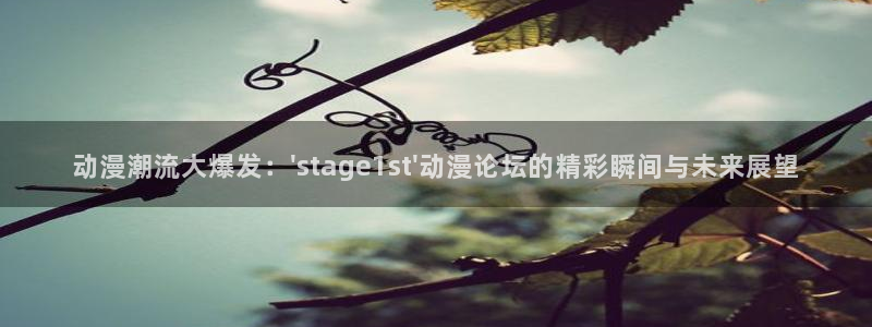 动漫之家ios版：动漫潮流大爆发：\'stage1st\'动漫论坛的精彩瞬间与未来展望